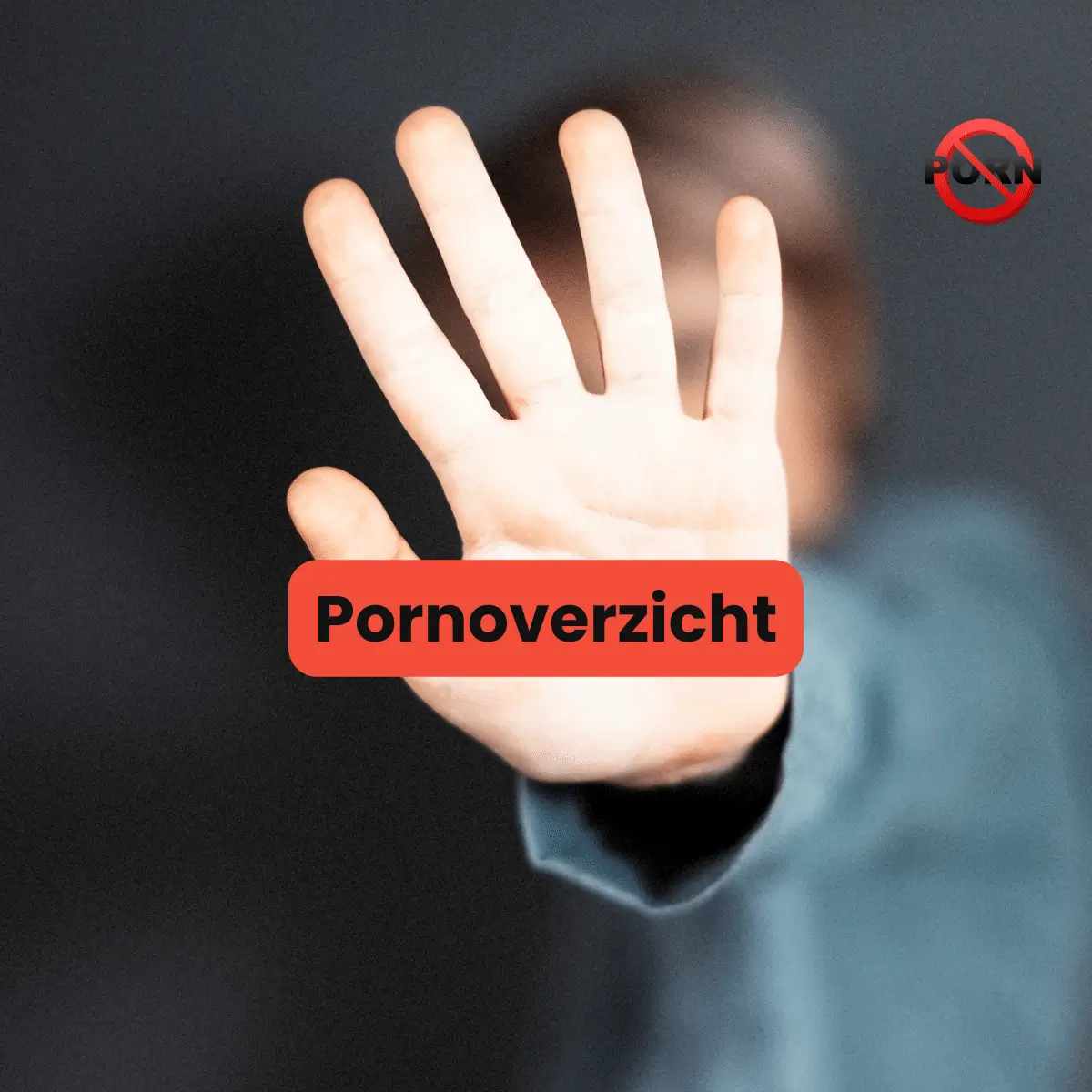 pornoverzicht-anleitung